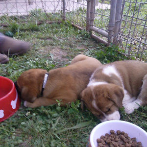 Meet your Posher, Travis